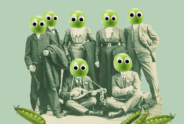 WEB Image